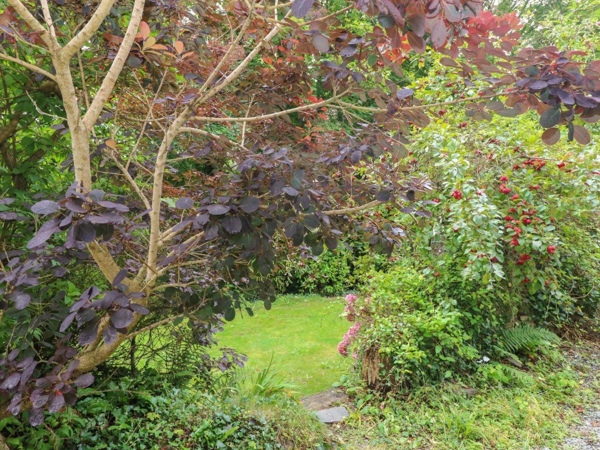 The Old Mill Villa Milford Haven Eksteriør billede